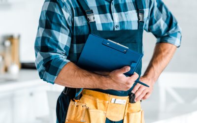 Mold Remediation in Naperville, IL: Why Timely Action Matters