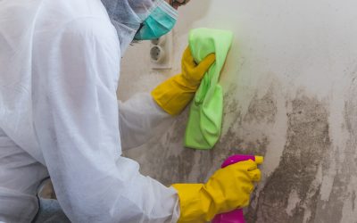 How to Clean Mold the Right Way with Professional Remediation